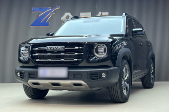 哈弗大狗 2021款 1.5T DCT两驱拉布拉多版