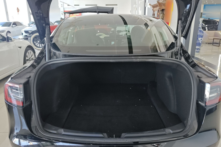 特斯拉 Model 3 2021款 改款 标准续航后驱升级版 3D1机舱底盘23