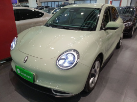 欧拉好猫 2023款 401km标准续航 豪华型 磷酸铁锂