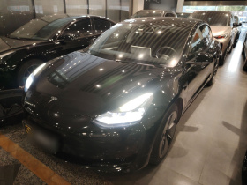 特斯拉 Model 3 2022款 后轮驱动版