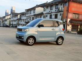 五菱汽车 宏光MINIEV 2020款 自在款 磷酸铁锂