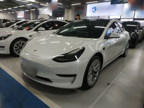 特斯拉 Model 3 2022款 后轮驱动版