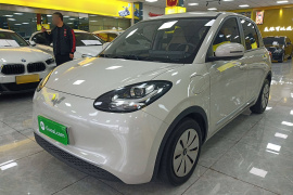 五菱汽车 五菱缤果 2023款 333km 快享款