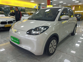 五菱汽车 五菱缤果 2023款 333km 快享款