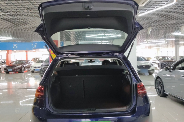 大众 高尔夫 2019款 280TSI DSG豪华型 国VI机舱底盘23