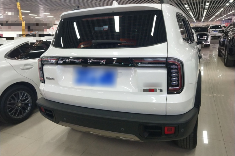 哈弗大狗 2022款 1.5T DCT两驱边牧版车身外观6