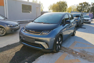 比亚迪 海豚 2023款 401km 骑士版