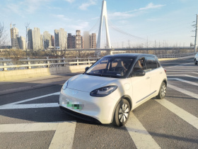 五菱汽车 五菱缤果 2023款 333km 悦享+款