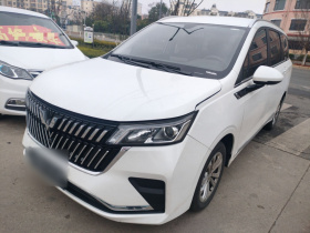 五菱汽车 五菱佳辰 2022款 1.5L 手动畅享舒适型