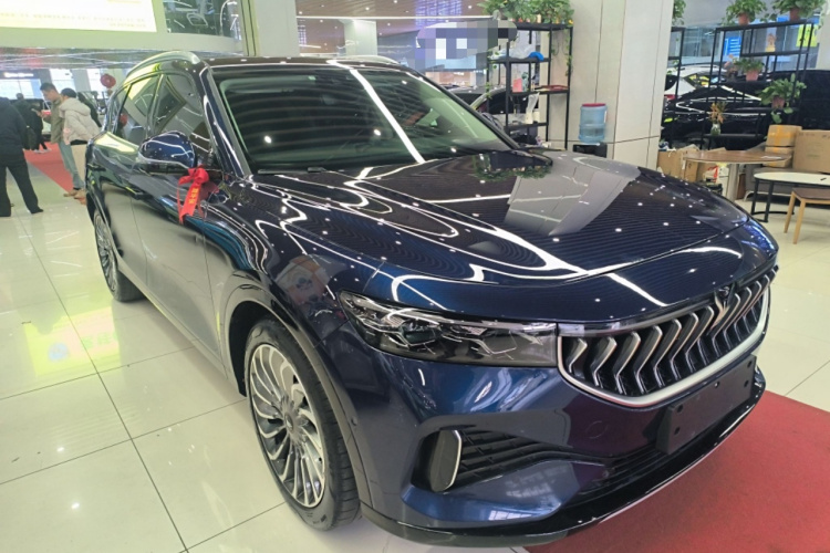 岚图汽车 岚图FREE 2021款 四驱标准增程专属豪华套装车身外观6002