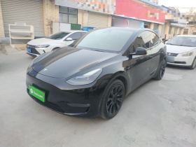特斯拉 Model Y 2021款 长续航全轮驱动版 3D7