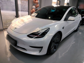特斯拉 Model 3 2022款 后轮驱动版