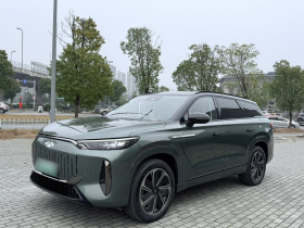 奇瑞 风云T10 2024款 210 奢享版