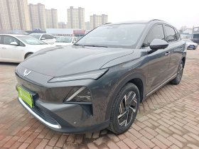 五菱汽车 五菱星光S 2024款 130km 旗舰型