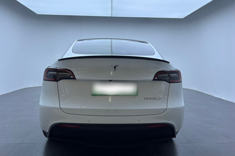 特斯拉 Model Y 2021款 Performance高性能全轮驱动版车身外观6002