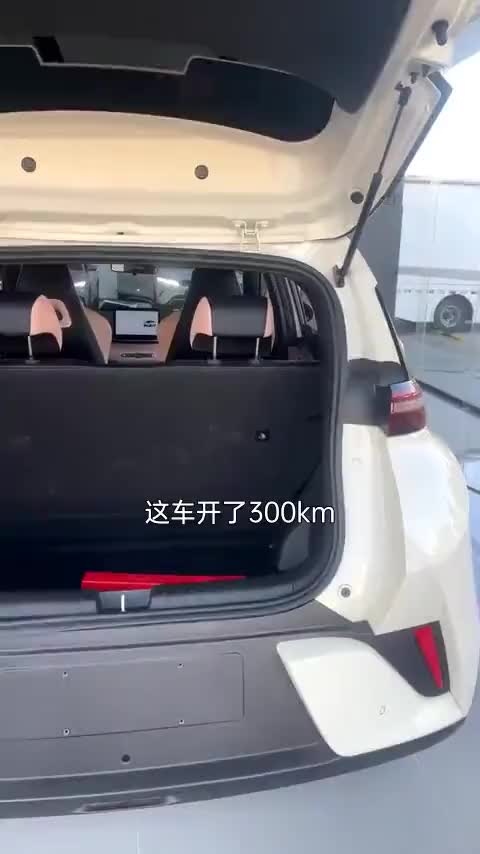 比亚迪 海鸥 2025款 305km 活力版讲解1