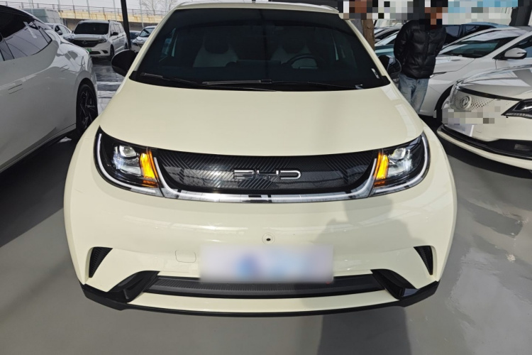 比亚迪 海豚 2023款 420km 自由版车身外观6001