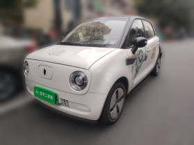 欧拉黑猫 2021款 301km 基础型