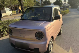 吉利银河 2023款 熊猫mini 200km 灵动熊