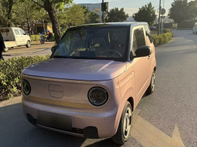 吉利银河 2023款 熊猫mini 200km 灵动熊