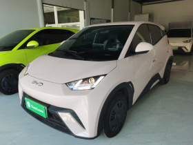 比亚迪 海鸥 2025款 305km 活力版