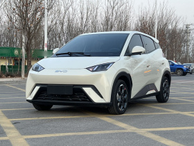 比亚迪 海鸥 2025款 305km 自由版