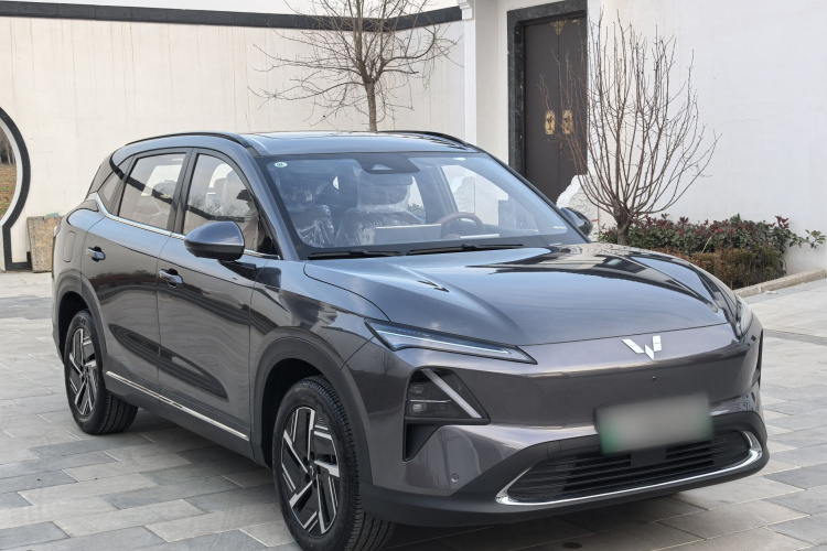 五菱汽车 五菱星光S 2024款 130km 旗舰型车身外观6002