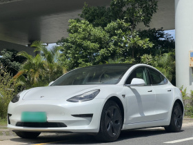 特斯拉 Model 3 2020款 改款 长续航后轮驱动版