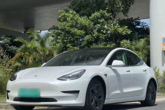 特斯拉 Model 3 2020款 改款 长续航后轮驱动版