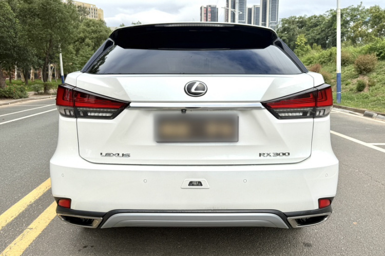 雷克萨斯RX 2020款 300 四驱典雅版 国VI车身外观6001