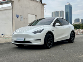 特斯拉 Model Y 2022款 长续航全轮驱动版