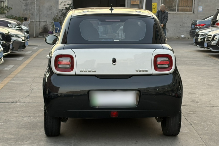 欧拉黑猫 2021款 351km 标准型车身外观6007