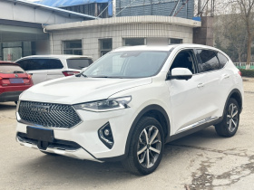 哈弗F7 2021款 1.5T 两驱i潮