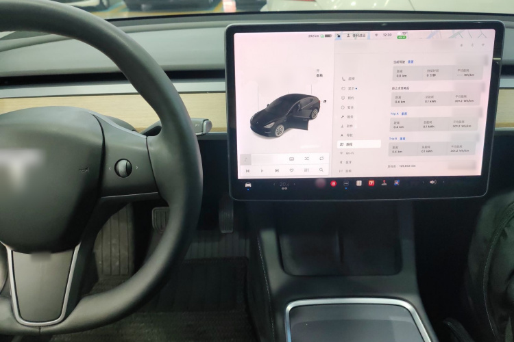 特斯拉 Model 3 2021款 标准续航后驱升级版中控内饰7002