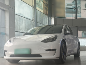 特斯拉 Model 3 2022款 后轮驱动版