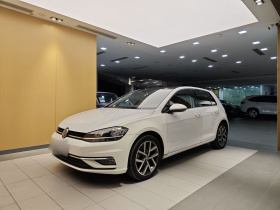 大众 高尔夫 2018款  230TSI 自动豪华型