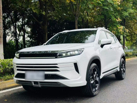 星途追风 2021款 凡尔赛版 1.6T DCT星耀版