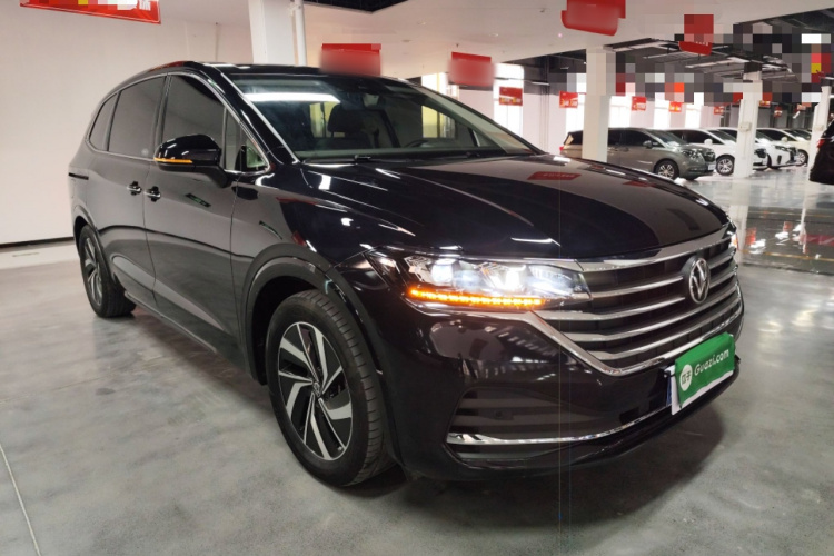 大众 威然 2024款 380TSI 尊驰版车身外观6002