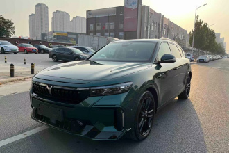 岚图汽车 岚图FREE 2024款 超长续航智驾版