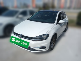 大众 高尔夫 2019款 1.6L 自动舒适型 国V