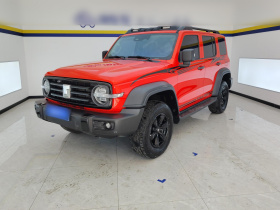 坦克300 2021款 越野版 2.0T 征服者