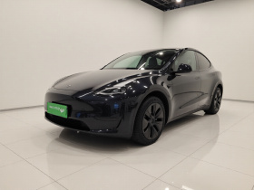 特斯拉 Model Y 2024款 后轮驱动版
