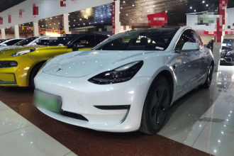 特斯拉 Model 3 2020款 改款 长续航后轮驱动版