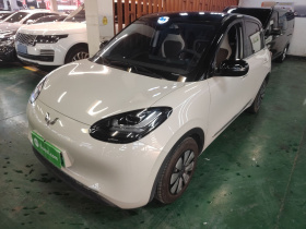 五菱汽车 五菱缤果 2023款 203km 舒享款