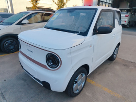 吉利银河 2024款 熊猫mini 200km 耐力熊