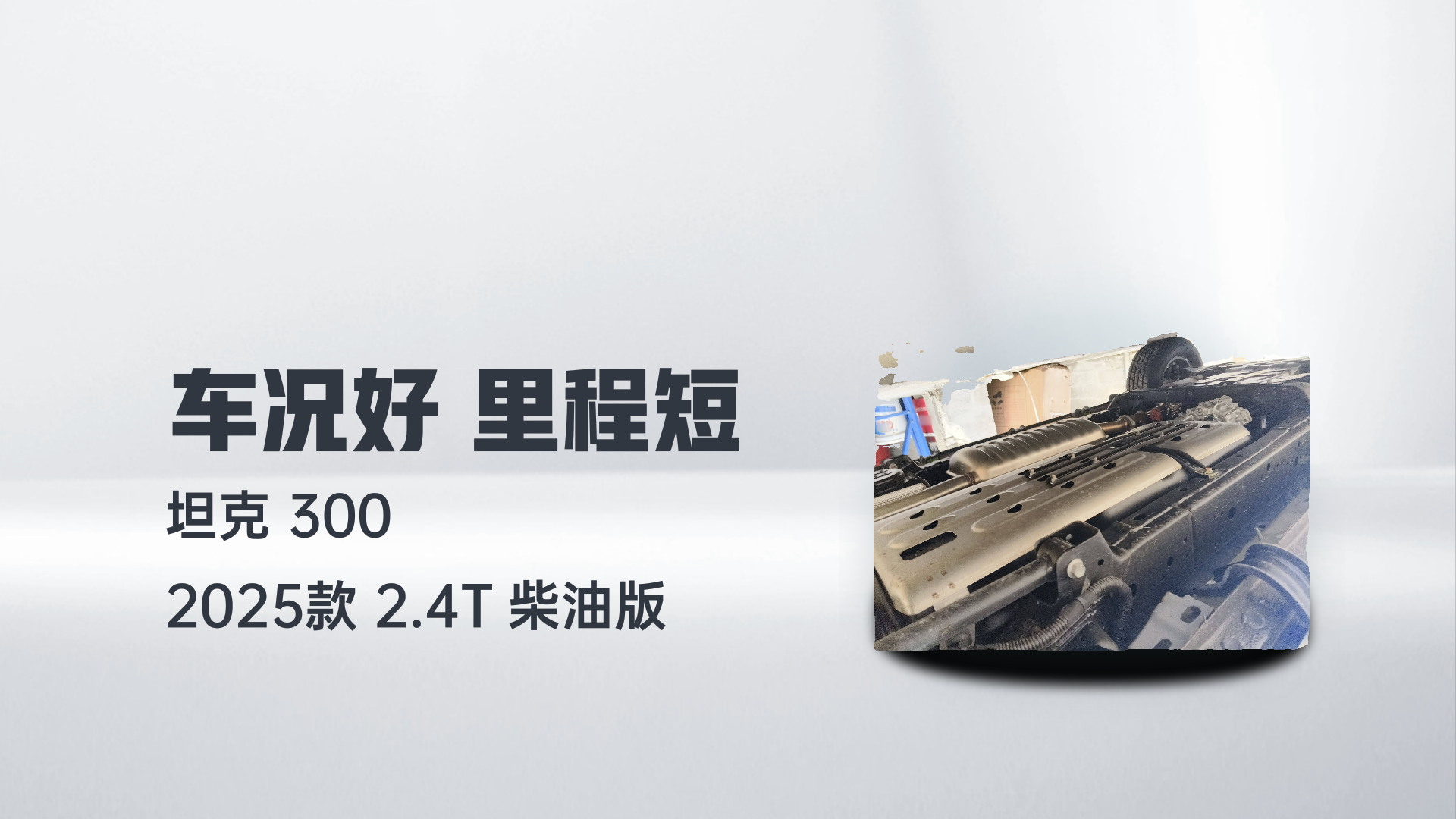 坦克300 2025款 2.4T 柴油版解读1