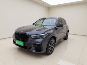 宝马X5(进口) 2020款 xDrive40i M运动套装