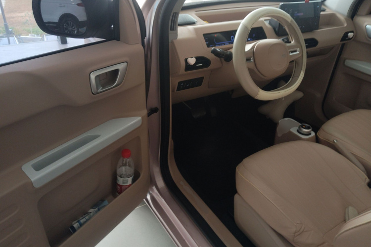 吉利银河 2024款 熊猫mini 200km 龙腾版中控内饰20