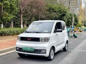 五菱汽车 宏光MINIEV 2020款 悦享款 磷酸铁锂