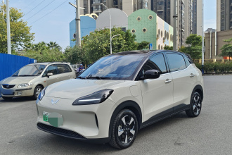 五菱汽车 五菱缤果PLUS 2024款 401km 五座版